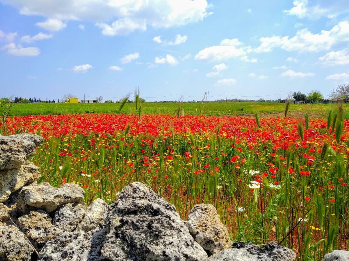Masseria Cataldo Corigliano dʼOtranto Exteriör bild