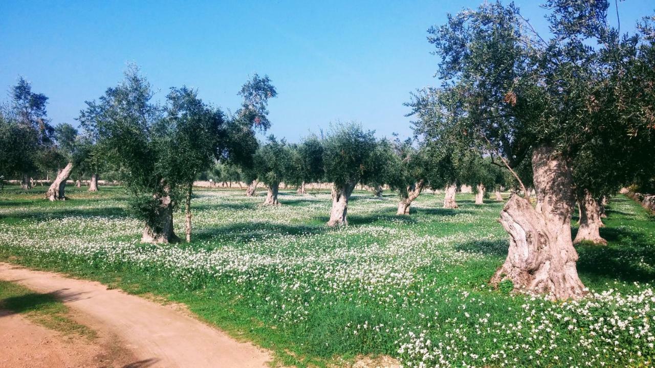 Masseria Cataldo Corigliano dʼOtranto Exteriör bild